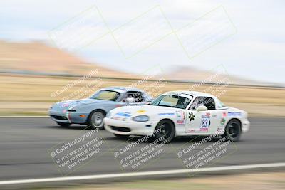 media/May-04-2025-Lucky Dog Racing (Sun) [[21629467aa]]/Turn 9 (115-130pm)/